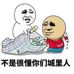 _19.jpg