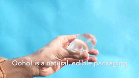 _20.gif